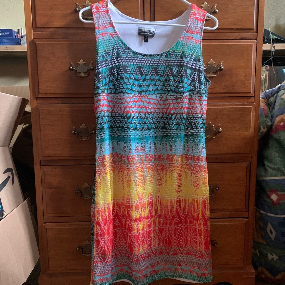 Multi-Colored Allison Brittney Dress